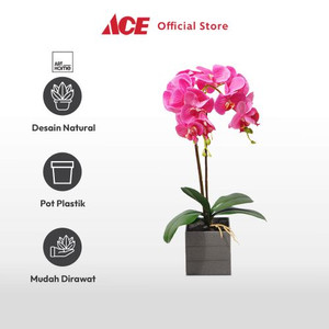 Ace Arthome Bunga Artifisial Orchid 2 Stem Dengan Pot - Pink Fuschia