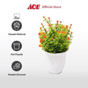 Arthome Bunga Artifisial Grass Star Potted  - Oranye