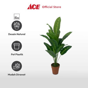 Ace Arthome 70 Cm Tanaman Artifisial Dieffenbachia - Hijau