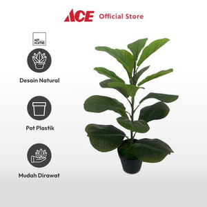 Ace Arthome 75 Cm Tanaman Artifisial Fiddle Fig - Hijau