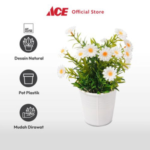 Arthome Bunga Artifisial Grass Daisy Potted  - Putih