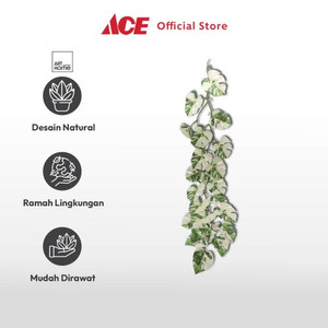 Ace - Arthome Tanaman Artifisial Garland Monstera White Leaf - Putih