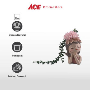 Ace - Arthome Tanaman Artifisial Sukulen Dengan Pot Dream