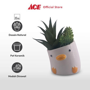 Ace - Arthome Tanaman Artifisial Sukulen Dengan Pot Anima Duck