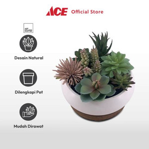 Ace - Arthome 16 Cm Tanaman Artifisial Succulent Mix Dengan Pot Putih