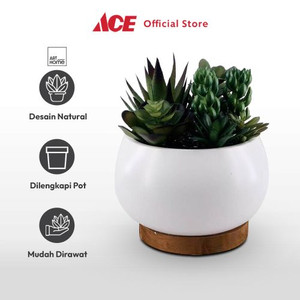 Ace - Arthome 23 Cm Tanaman Artifisial Succulent Mix Dengan Pot Putih