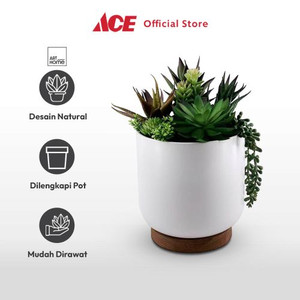 Ace - Arthome 27 Cm Tanaman Artifisial Succulent Mix Dengan Pot Putih