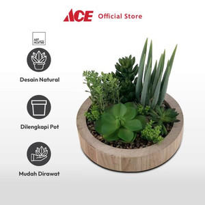 Ace - Arthome Tanaman Artifisial Succulent Mix In Shaw Pot B