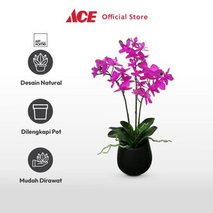 Ace - Arthome Bunga Artifisial Orchid 3 Stem Dengan Pot - Ungu