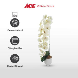 Ace - Arthome Bunga Artifisial Orchid 1 Stem Dengan Pot - Putih