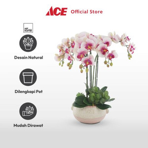 Ace - Arthome Bunga Artifisial Orchid 5 Stem Dengan Pot - Pink