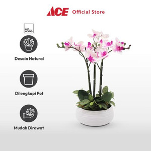 Ace - Arthome Bunga Artifisial Orchid 3 Stem Dengan Pot - Pink