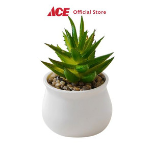 Ace - Ataru Tanaman Artifisial Aloevera Dengan Pot Round - Putih