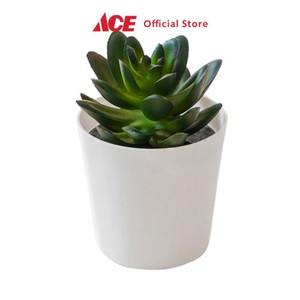 Ace - Ataru Ukuran S Tanaman Artifisial Pot Sedum Round - Putih