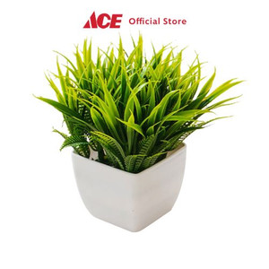 Ace - Ataru Ukuran M Tanaman Artifisial Pot Grass Square - Putih