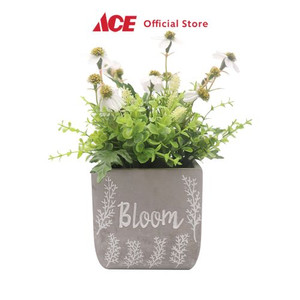 Ace - Arthome 25.4 Cm Bunga Artifisial Wild - Putih