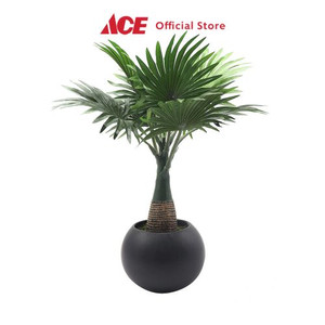 Ace - Arthome 40 Cm Tanaman Artifisial Fern Dengan Pot Keramik - Hitam