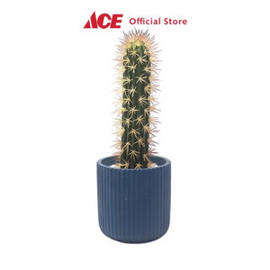 Ace - Arthome 11.4 Cm Tanaman Artifisial Kaktus Dengan Pot - Hijau