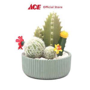 Ace - Arthome 15.2 Cm Tanaman Artifisial Kaktus Dengan Pot - Hijau