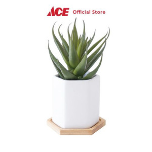 Ace - Arthome 11.4 Cm Tanaman Artifisial Aloe Dengan Pot - Hijau