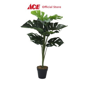 Ace - Arthome 75 Cm Tanaman Artifisial Monstera - Hijau