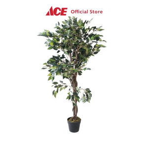 Ace - Arthome 120 Cm Tanaman Artifisial Mini Ficus