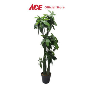 Ace - Arthome 150 Cm Tanaman Artifisial Fortune Tree