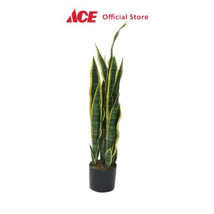 Ace - Arthome 90 Cm Tanaman Artifisial Sansevieria