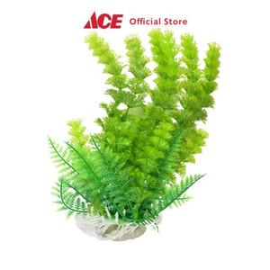 Ace - Fishland 14 Cm Ornamen Akuarium 922172