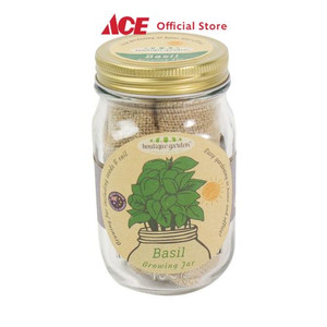 Ace - Boutique Garden Set Bibit Tanaman Basil Dengan Pot Kaca