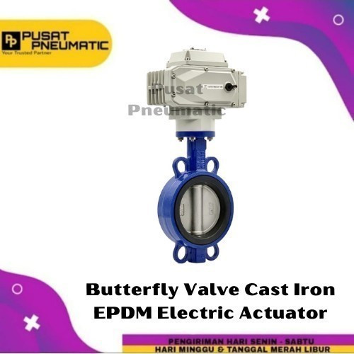 Motorized Electric Actuator On Off Butterfly Cast Iron EPDM 10 Inch