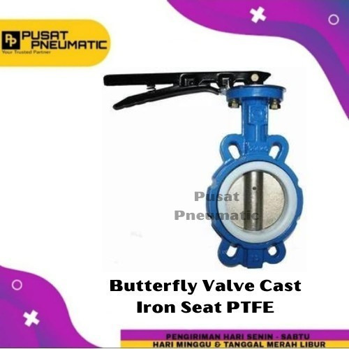 8" Butterfly Valve Cast Iron Seat PTFE Disc SS 304 Size 8 Inch