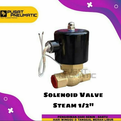 1/2" Selenoid Valve Steam 2 Way Solenoid Us 15 1/2"