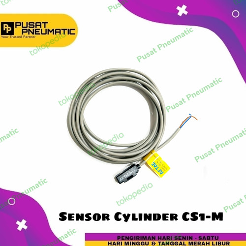 CS1-M SENSOR CYLINDER PNEUMATIC MAGNETIC REED SWITCH CS1 - M CS1M