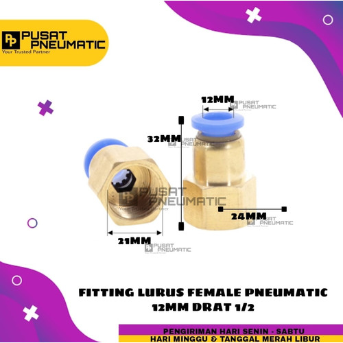 FITTING LURUS FEMALE PNEUMATIC SELANG 12MM DRAT 1/2"