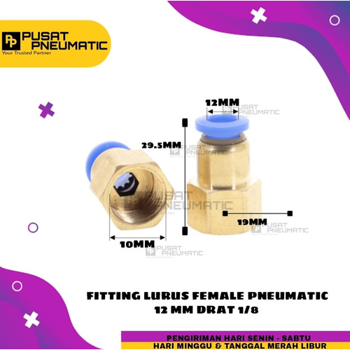 FITTING LURUS FEMALE PNEUMATIC SELANG 12MM DRAT 1/8"(10mm)