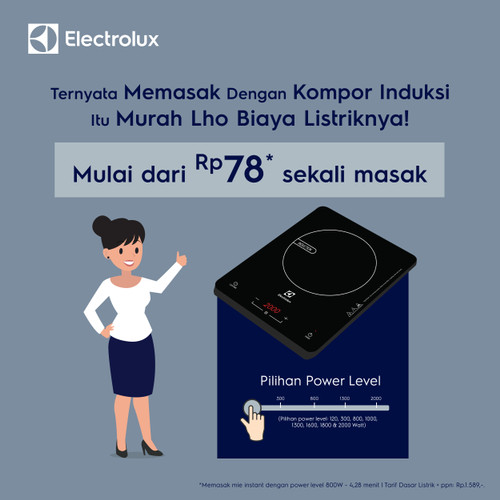 Electrolux Portable Induction Cooker Model ETD29KC