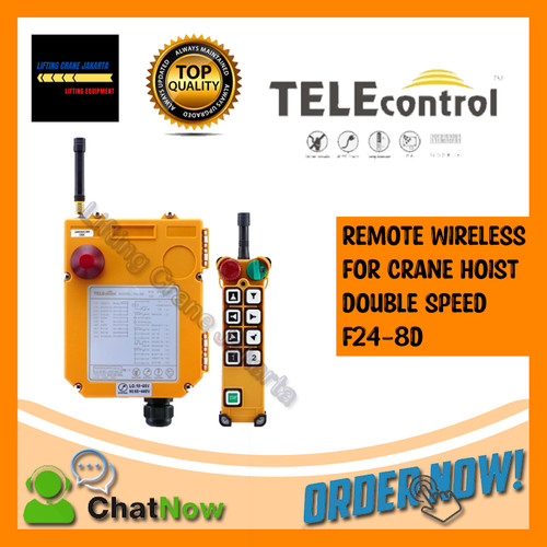 Remote Hoist Remote Wireless Hoist F24-8D TELEcontrol Double Speed