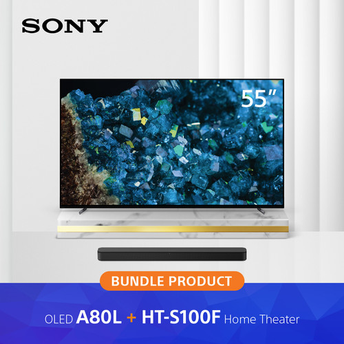 Bundle Sony XR-55A80L & HT-S100F