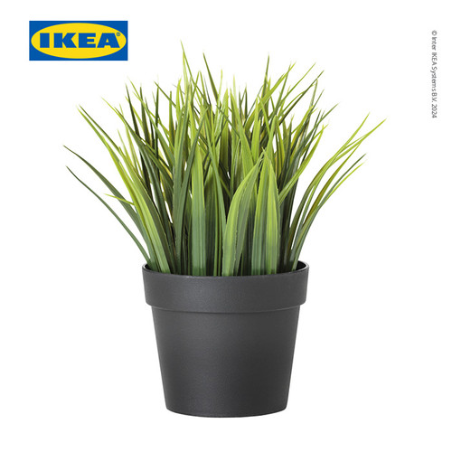 IKEA FEJKA Tanaman Hias Rumput Pendek dengan Pot 9 cm