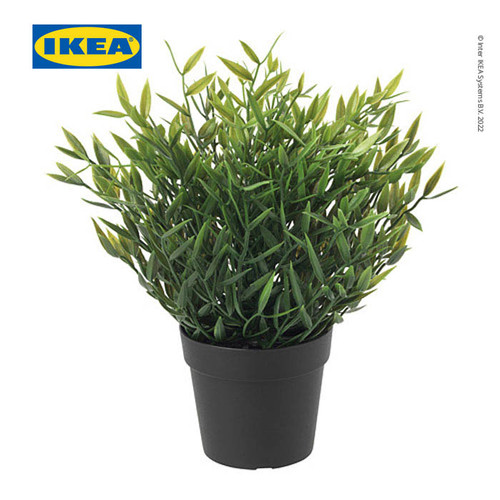 IKEA FEJKA Tanaman Hias Bambu Keberuntungan dengan Pot 9 cm