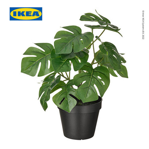 IKEA FEJKA Tanaman Hias Monstera dengan Pot 12 cm