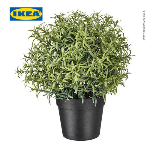 IKEA FEJKA Tanaman Hias Rosemary dengan Pot 9 cm