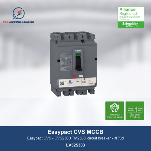 Schneider Easypact CVS250B MCCB TM250D circuit breaker 3P - LV525303