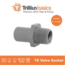 Fitting Pipa uPVC Trilliunbasics TS Valve Socket - 1" x 1/2" Inch