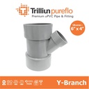 Fitting Pipa uPVC Trilliunpureflo D Y-Branch 6" x 4" Inch