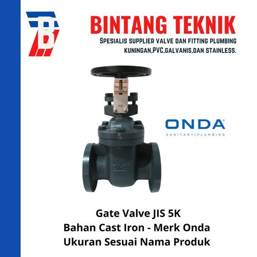 Gate Valve 5" inch Cast Iron Onda JIS 5K