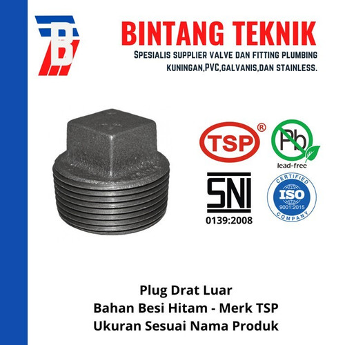 Plug 1 1/4" inch Besi Hitam TSP