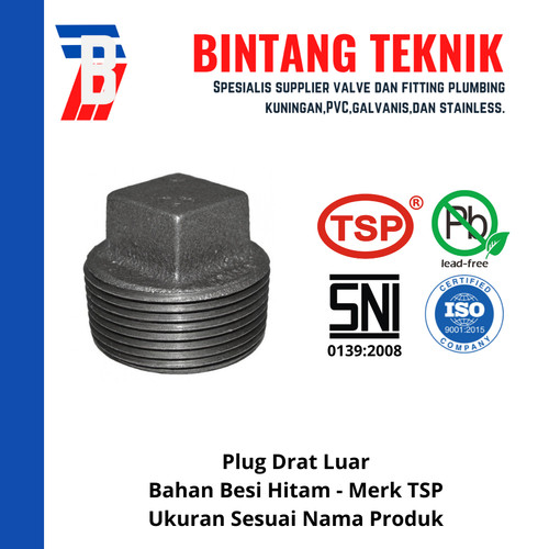 Plug 1/2" inch Besi Hitam TSP