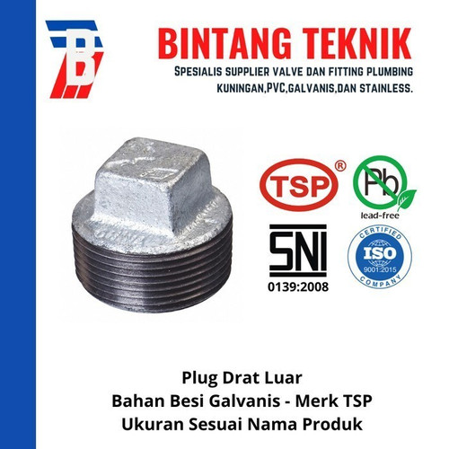 Plug 2" inch Besi Galvanis TSP